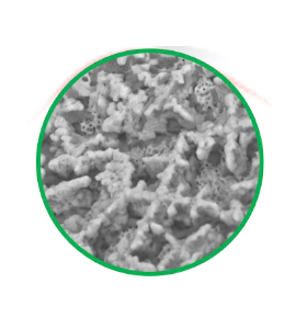 Зображення SEM поверхні імплантату Nano Prime з поверхнею BioTiCer